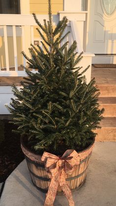 a small christmas tree sitting in a bucket on the front porch with a bow tied around it