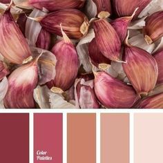 a color palette with pink and red flowers