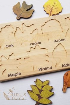 a wooden puzzle with different types of autumn leaves and the names of them on it