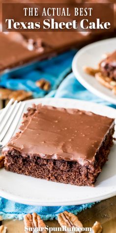 a piece of chocolate sheet cake on a white plate with pecans around the edge