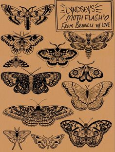 an old book with moths on it and the title underneath it reads linden's moth - flashing from lonely to lone