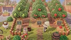 an image of a farm scene with apples on trees