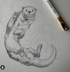 a pencil drawing of an otter on the back of its hind legs with fire coming out of it's mouth