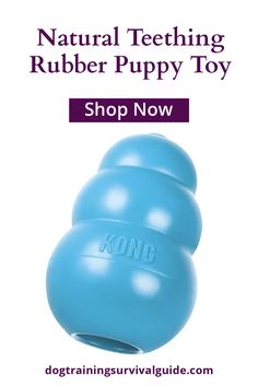 the kong natural teething rubber puppy toy is on sale