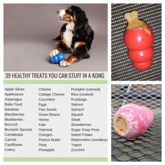 a collage of photos showing different types of dogs and their food, including an apple