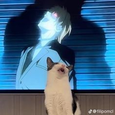 a black and white cat sitting in front of a flat screen tv with an anime character on it