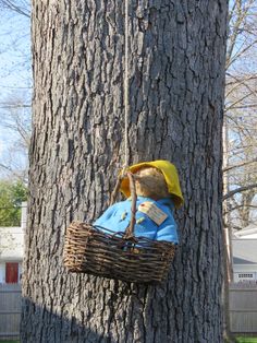 a teddy bear in a blue shirt and yellow hat hanging from a basket on a tree