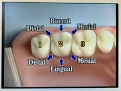 Hygiene School, Dental Hygiene Gifts