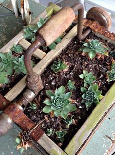 a planter with succulents in it sitting on top of a table