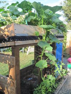 an outdoor garden area with plants and other things in the background, including a chicken coop