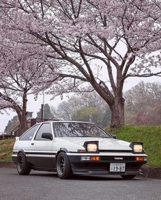 the car is parked on the side of the road with cherry blossom trees in the background