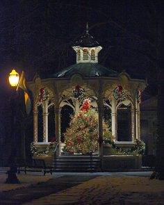 a gazebo with a lit christmas tree in front of it