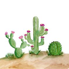 watercolor painting of cactus and flowers in the desert