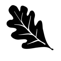 a black and white silhouette of an oak leaf on a white background, with the outline of its leaves