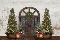 three christmas trees in front of a wooden door with wreaths and lights on them