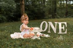 Vintage Cake Smash, Newborn Photography Setup, Outdoor Cake Smash, Amanda Wilson, Fall 1st Birthdays, Pink Flower Crown, Smash Cake Girl