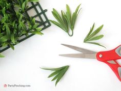 scissors are laying next to some green plants