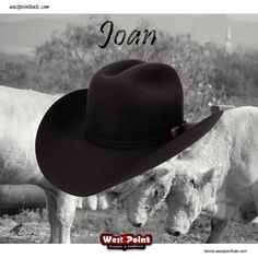 #westpointhats_usa 
#felthat #black #joan 
#westpointhats🤠 

Wapp 4761233084
tienda.westpointhats.com
westpointhats.com