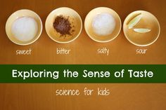 four bowls with different types of food in them on a wooden table, labeled exploring the sense of taste science for kids