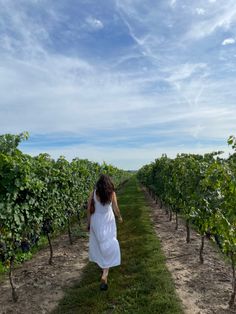 a woman in a white dress walking down a dirt path between rows of green vines