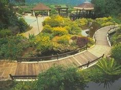 an aerial view of a park with trees, benches and walkways in the foreground