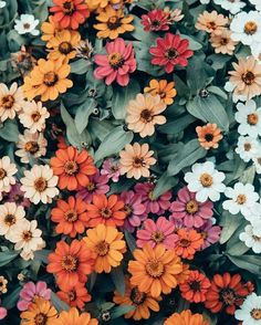 colorful flowers with the words, always be a little wonder than necessary to meessary