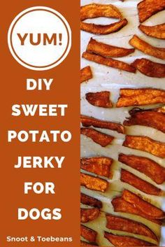 sweet potato fries with text overlay that reads diy sweet potato jerk for dogs