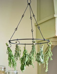 herbs hanging from a pot rack in a kitchen