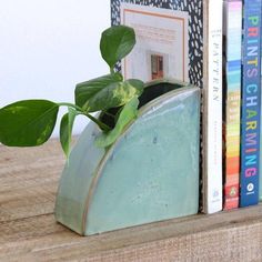 a book shelf with books and a potted plant on it, along with other books