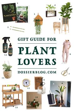 the gift guide for plant lover's is featured in this post - it - up