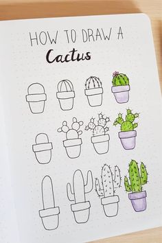 a notebook with cactus drawings on it and the words, how to draw a cactus