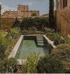 an outdoor swimming pool surrounded by greenery and stone steps in front of a building