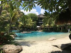 an outdoor swimming pool surrounded by palm trees and other greenery in the foreground