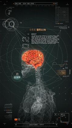 an image of the human head and brain with information about its functions, including numbers and symbols