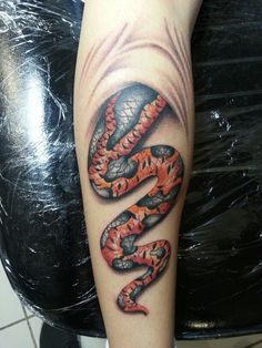 an orange and black snake tattoo on the right arm, it's curled up