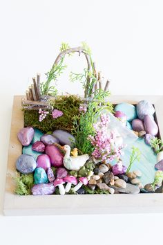 an assortment of rocks and plants in a tray