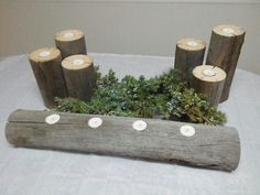 some candles are sitting in a log on a white table cloth with green plants and moss