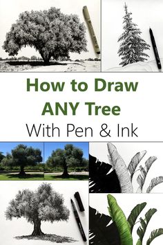 how to draw any tree with pen and ink