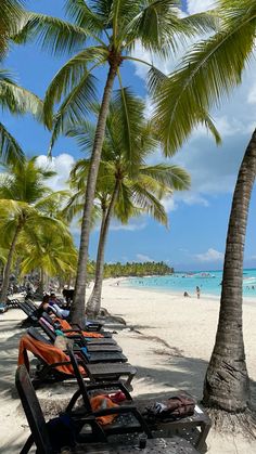 lounge chairs are lined up on the beach with palm trees and people in the water