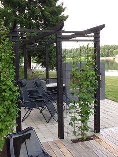 an outdoor patio with chairs and plants on it