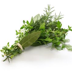 a bunch of fresh herbs on a white background