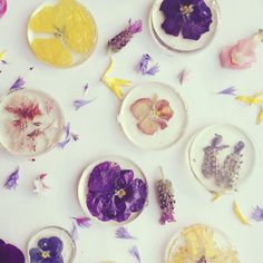 several plates with pressed flowers on them are arranged in a circle and surrounded by petals