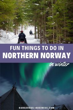 Norway Forests. With Text Reading: Best Winter Things to Do in Norway. Norway In Winter, Things To Do In Norway, Norway Winter, Northern Norway, Winter Things, Winter Trip, Winter Destinations, Trip To Europe, Unique Hotels