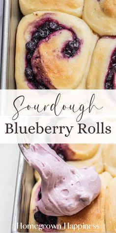 blueberry rolls in a baking pan with the words sourdough blueberry rolls on top