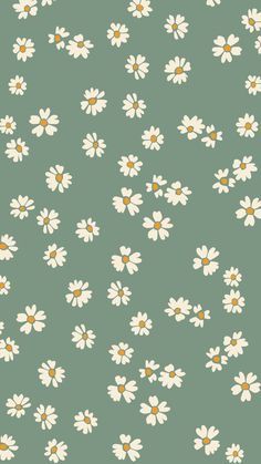 a green background with white daisies and yellow centers on it's edges is shown