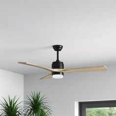 a ceiling fan in a living room next to a potted plant