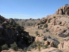 a rocky landscape with trees and bushes in the foreground