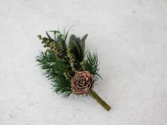 a single pine cone with some greenery on it's end sitting in the snow