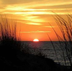 the sun is setting over the ocean with tall grass