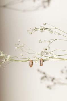 These sparkly hoop earrings feature the tiniest crystal stones for a unique take on the classic huggie hoop. Materials: 14k gold plate, Swarovski crystals Padgett Hoke is a jeweler based in Jackson Hole, Wyoming. Her delicate designs capture the spirit of the best parts of the great outdoors and being in the mountains. Jackson Hole Wyoming, Crystal Hoop Earrings, Crystal Stones, Jackson Hole, In The Mountains, Wyoming, Stones And Crystals, Swarovski Crystals, Gold Plate